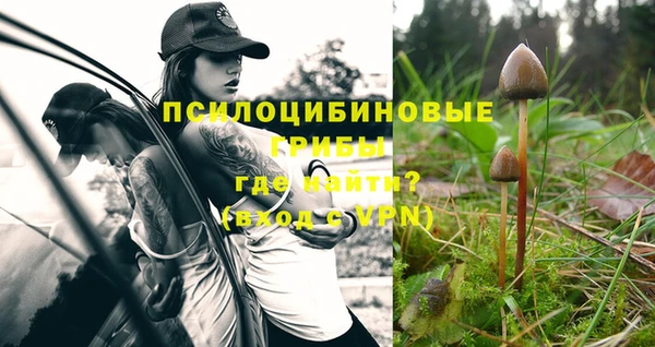 стаф Зеленодольск