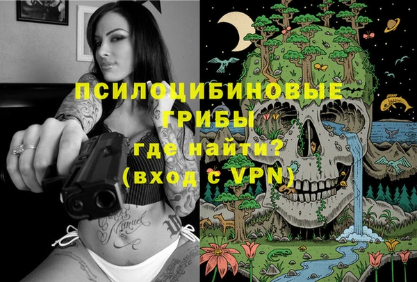 стаф Зеленодольск