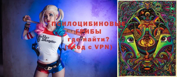 стаф Зеленодольск